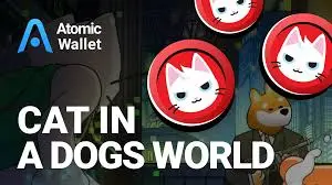 cat in a dogs world